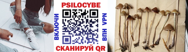 Галлюциногенные грибы Psilocybe  наркотики  Павлово 