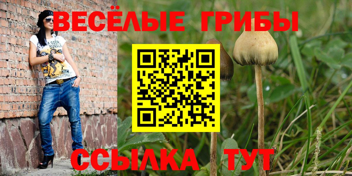 Псилоцибиновые грибы GOLDEN TEACHER Павлово